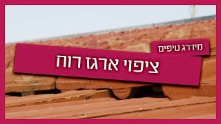 ציפוי ארגז רוח
