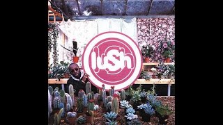 #basscover CIAO! -- LUSH &amp; JARVIS COCKER (PULP)