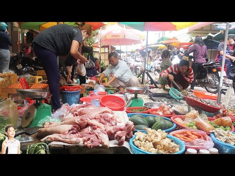 Fresh market tour of fish, meats, fruits and veggies sell  @ Prek Phnov Market
