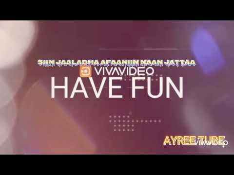 Rastam dire | Rasta p| siinjaaladha afaaniin naan jattaa@ayree tube