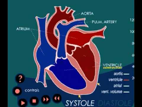 Das kann töten die hypertensive Diroton bis 10 cues