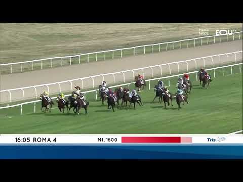 Italian 2000 Guineas - Gruppe 3