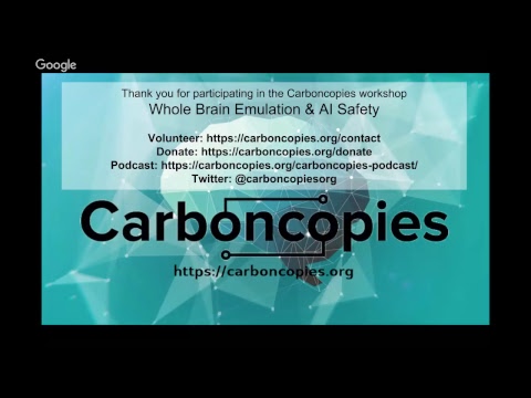 Carboncopies Winter 2019 Workshop: Whole Brain Emulation and AI Safety