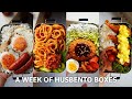 A Week Of Husband Lunch Boxes 37 Back To Real Life