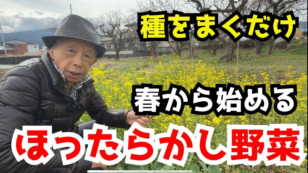 【超簡単】春のほったらかしで収穫できるご馳走野菜