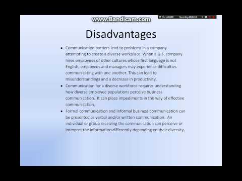 Issue Summary 7   Maria Baca