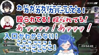 西園チグサ、小森めと、アクシア・クローネのかしましカジュアルマッチ【切り抜き】