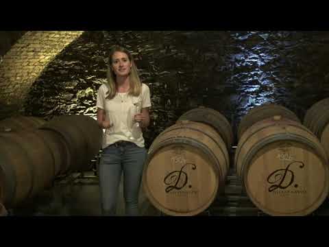 Weintaxi Wiesbaden - Weingut Diefenhardt - Vorstellung