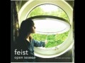 Feist the simple story