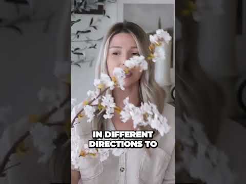 BEST AMAZON HOME DECOR + HOUSEHOLD MUST HAVES 2023