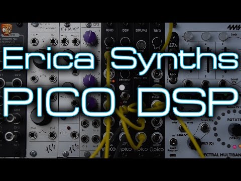 Erica Synths Pico DSP Pico Series Module image 2