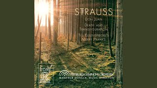 Download Lagu Till Eulenspiegels lustige Streiche, Op. 28, TrV 171 (Till Eulenspiegel's Merry Pranks) Thumbnail