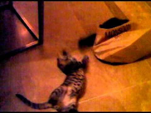 VID 00003 20090926 2109