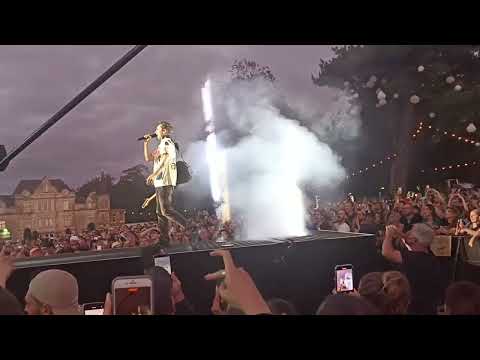 Matt Bellamy growled like a metal singer during Madness (Muse Live Beauregard Festival)
