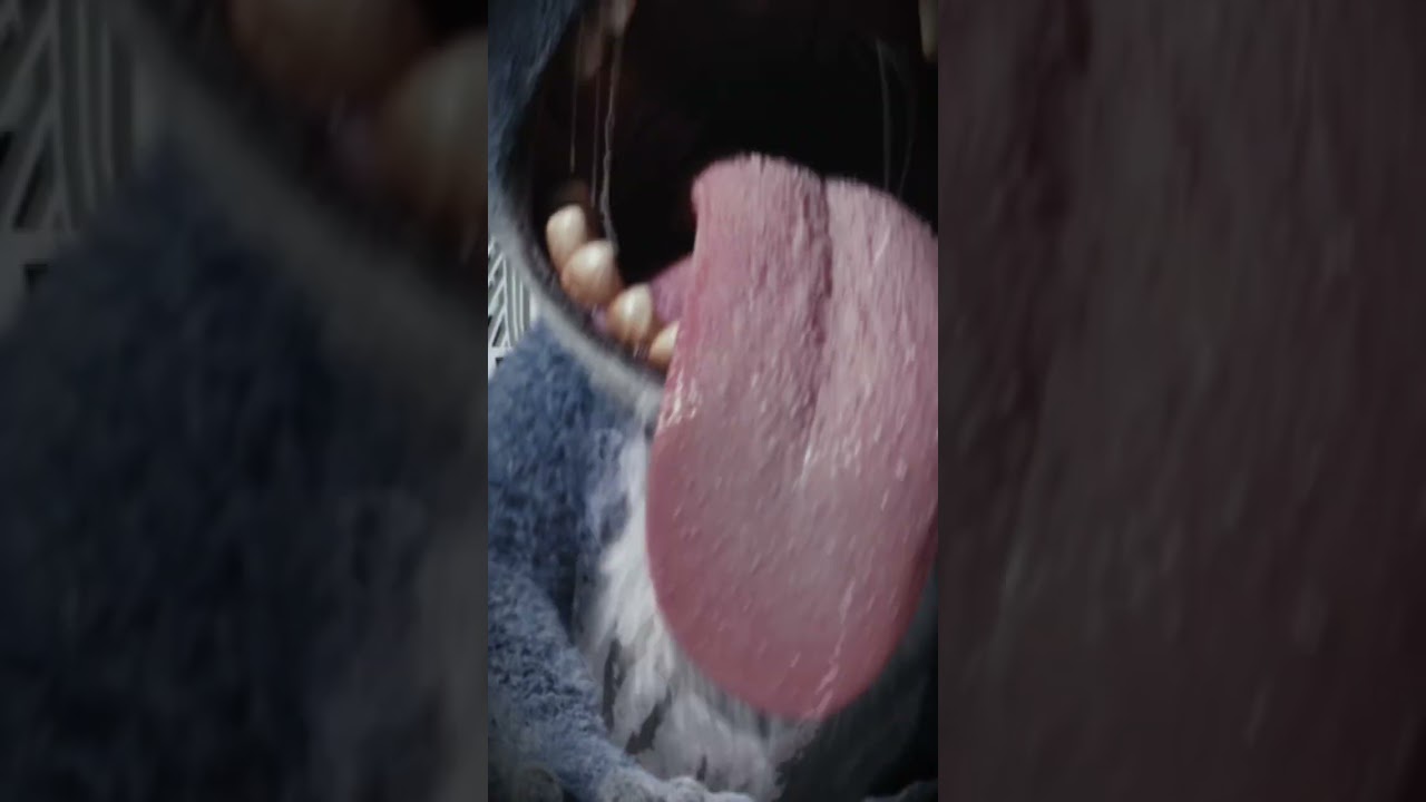 Caught on camera