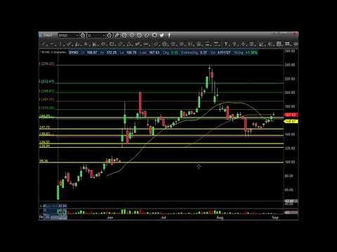 $BYND Weekend Update Technical Analysis 9 2 2019