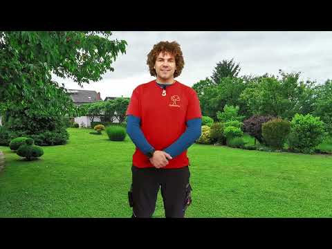 Náhled pro video reference
