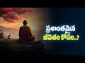 Top 10 Buddha Life Changing Quotes In Telugu