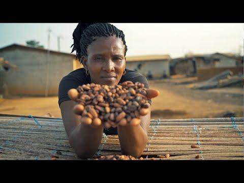 MAKE THE WORLD A BETTER PLACE - Fairtrade und die globalen Nachhaltigkeitsziele (deutsch)