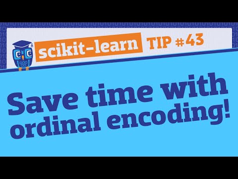 Use ColumnTransformer to apply different preprocessing to different columns