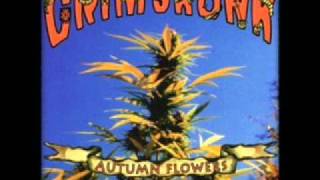Grimskunk - Pourquoi Pourquoi Ne Pas Fumer - Autumn Flowers Rerolled 1996