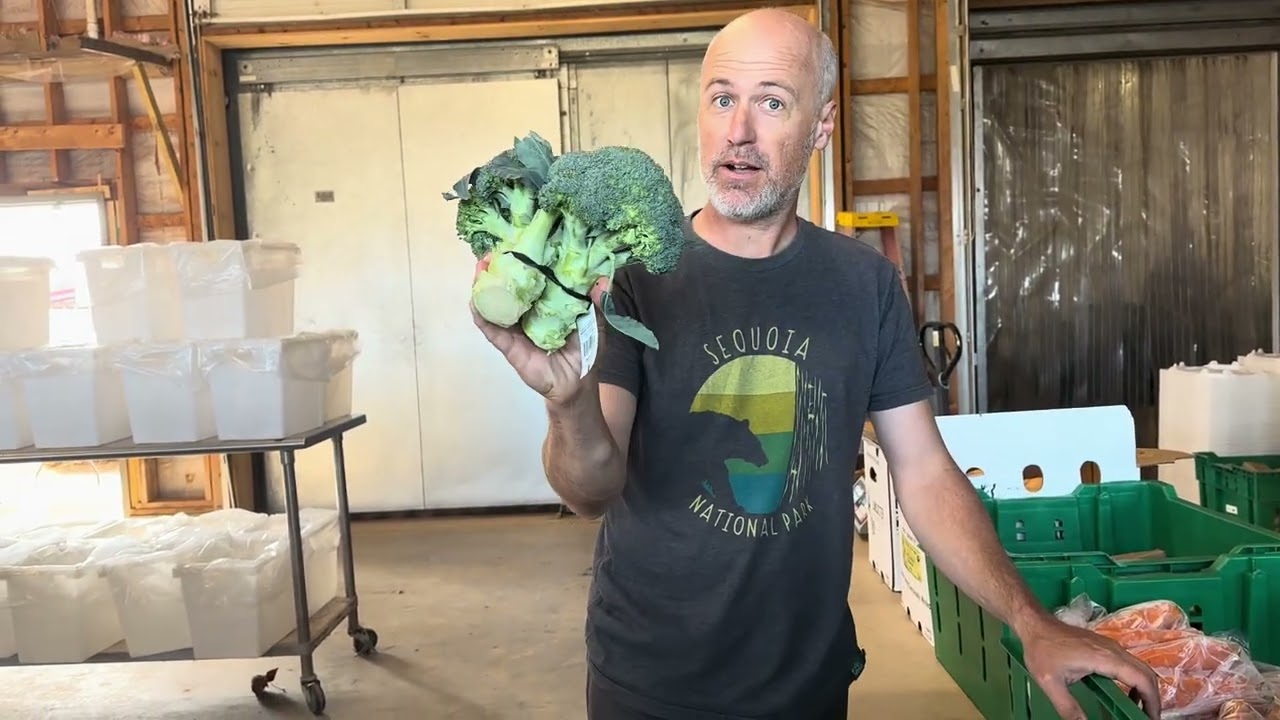 The First 2024 Winter CSA!