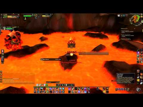 My Tame of Terrorpene!