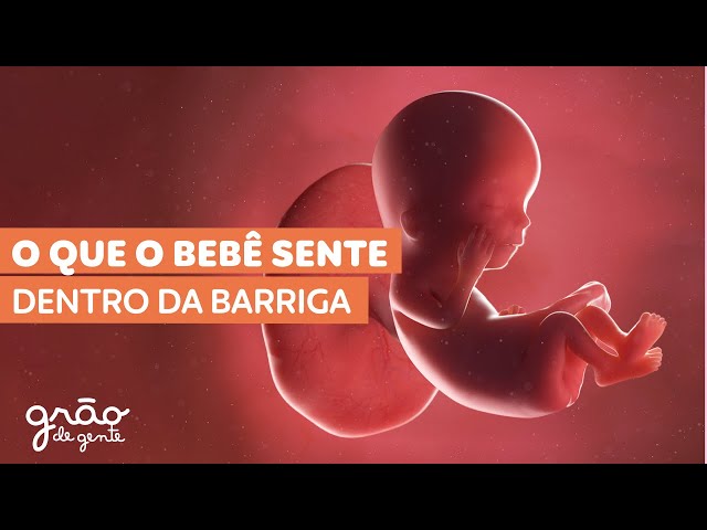 EVOLUÇÃO DO BEBÊ NA GRAVIDEZ SEMANA A SEMANA