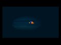 I Wish I Could Speak Whale Finding Nemo Part 7