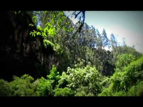 Monkey Roots - Utopía (Hecho En Casa)