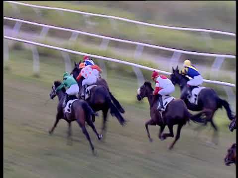 Galoppo 06/07/2018 - 6ª corsa