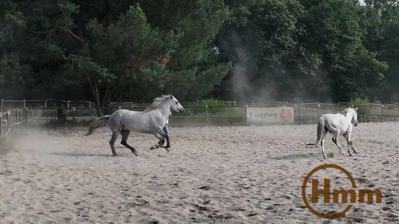 1ere seance en liberte pour Neymar et kiki 