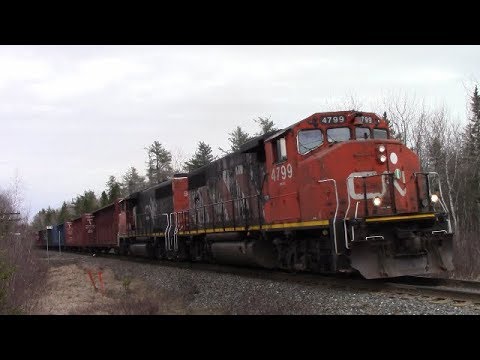 Two EMD Geeps lead CN Miramichi Local Train 569 at Lutesville East