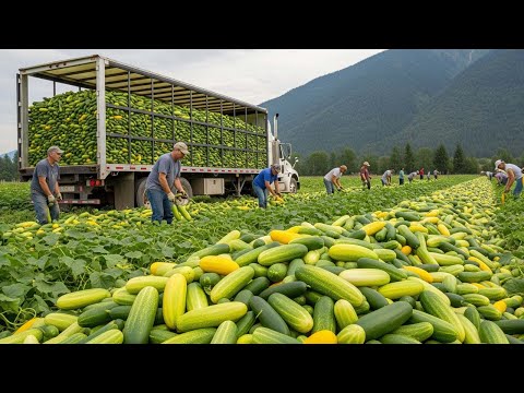 How American Farmers Harvest Thousands Of Tons Of Agricultural Products - American Farming