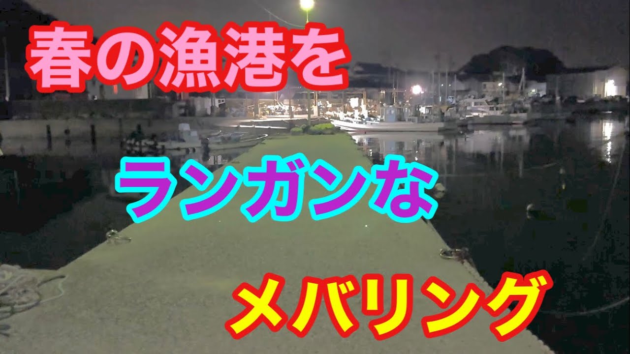 春の漁港をランガンなメバリング 知多半島