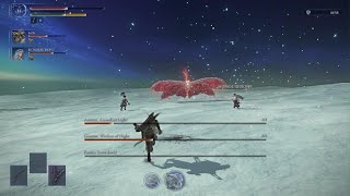 ELDEN RING NIGHTREIGN - Everdark sentient pest ironeye raider revenant