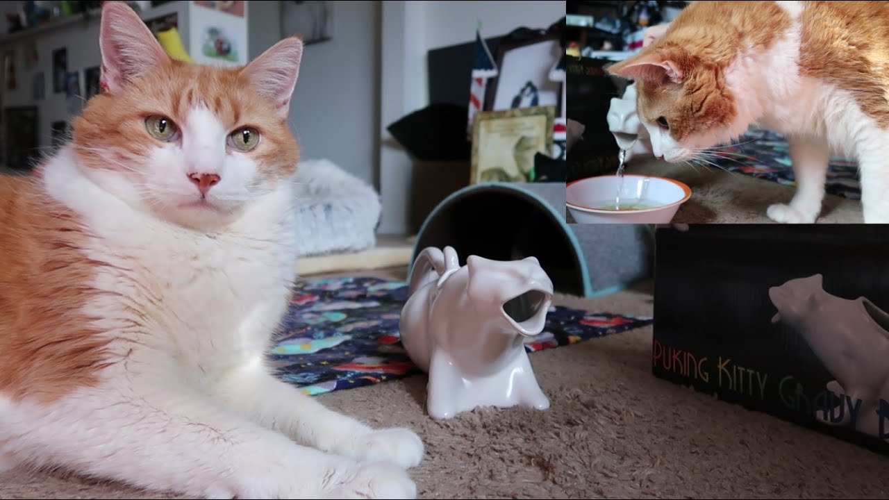 Unboxing The Puking Cat Gravy Boat