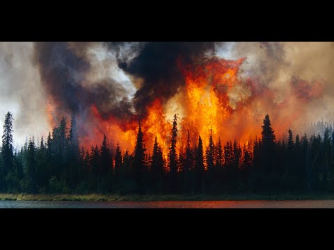 Petram - My Future (unofficial videoclip)