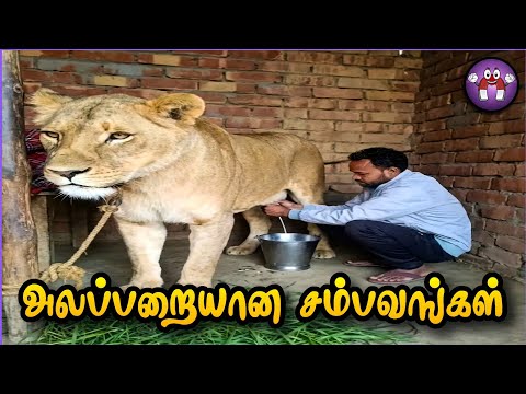 Funny Animal Dubbing சம்பவங்கள் | The Magnet Family 2.0