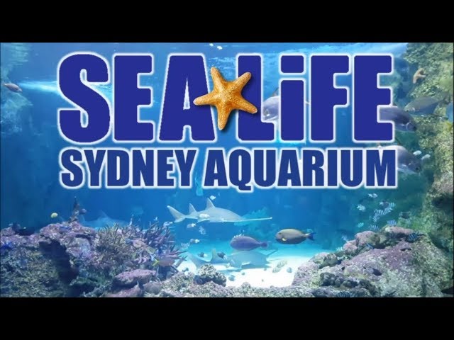 Jual Sea Life Sydney Australia Ticket Adult Aquarium tiket ...