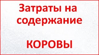 Содержание коров//Затраты на содержание коровы в год // Жизнь в деревне.