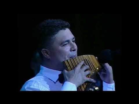 Leonid Cucu - Silvia