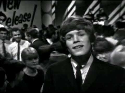 NEW * Just A Little Bit Better - Herman's Hermits {Stereo}