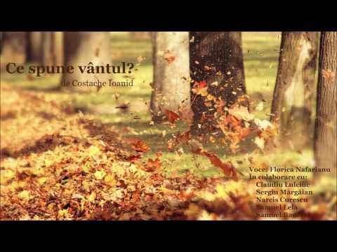 Florica Nafarianu - Ce spune vântul?