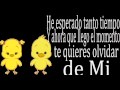 Carla Morrison - Pan Dulce (Letra) 
