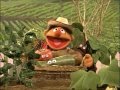 Sesame Street Grow High Grow Low