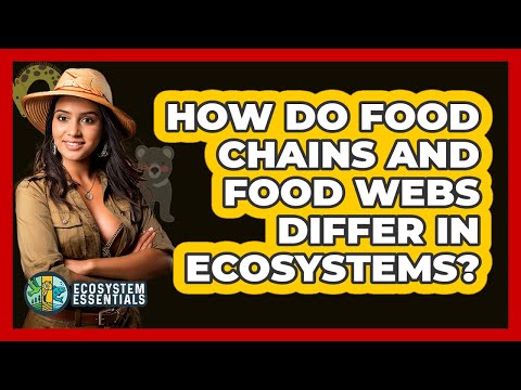 How Do Food Chains And Food Webs Differ In Ecosystems? - Ecosystem Essentials