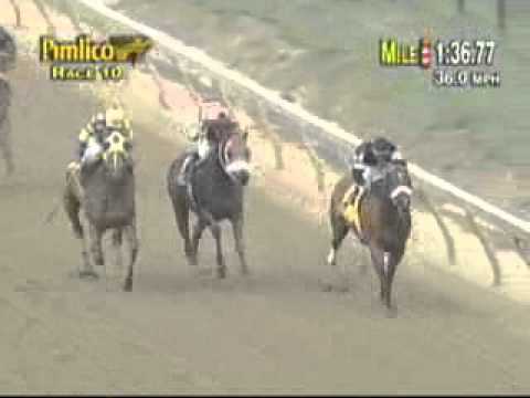 Include - Pimlico Special Handicap (G1)