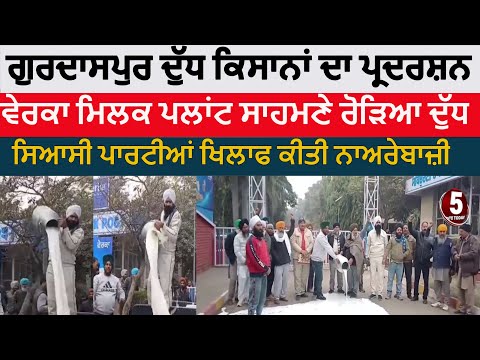 Gurdaspur farmers protest against verka milk plant| gurdaspur Milk farmers protest | gurdaspur verka