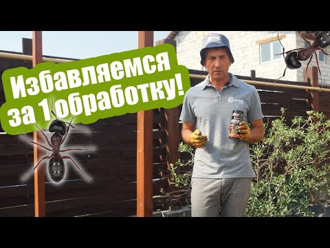 Миниатюра изображения товара Гранулы от насекомых Dr. Klaus от муравьев и других насекомых (100г)